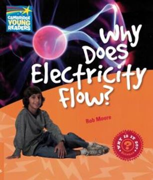 Imagem de WHY DOES ELECTRICITY FLOW? - LEVEL 6