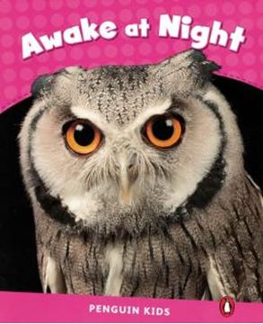 Imagem de AWAKE AT NIGHT