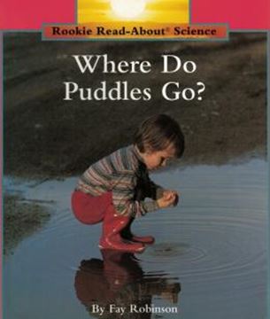 Imagem de WHERE DO PUDDLES GO