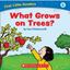 Imagem de WHAT GROWS ON TREES?